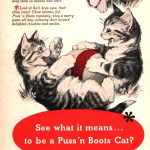 Puss'n Boots Ad 1952