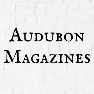 Audubon Magazines