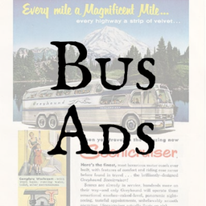 Bus Ads